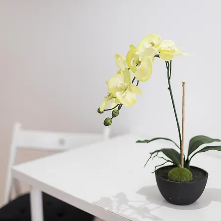 Apartament Hostel In Castelo *